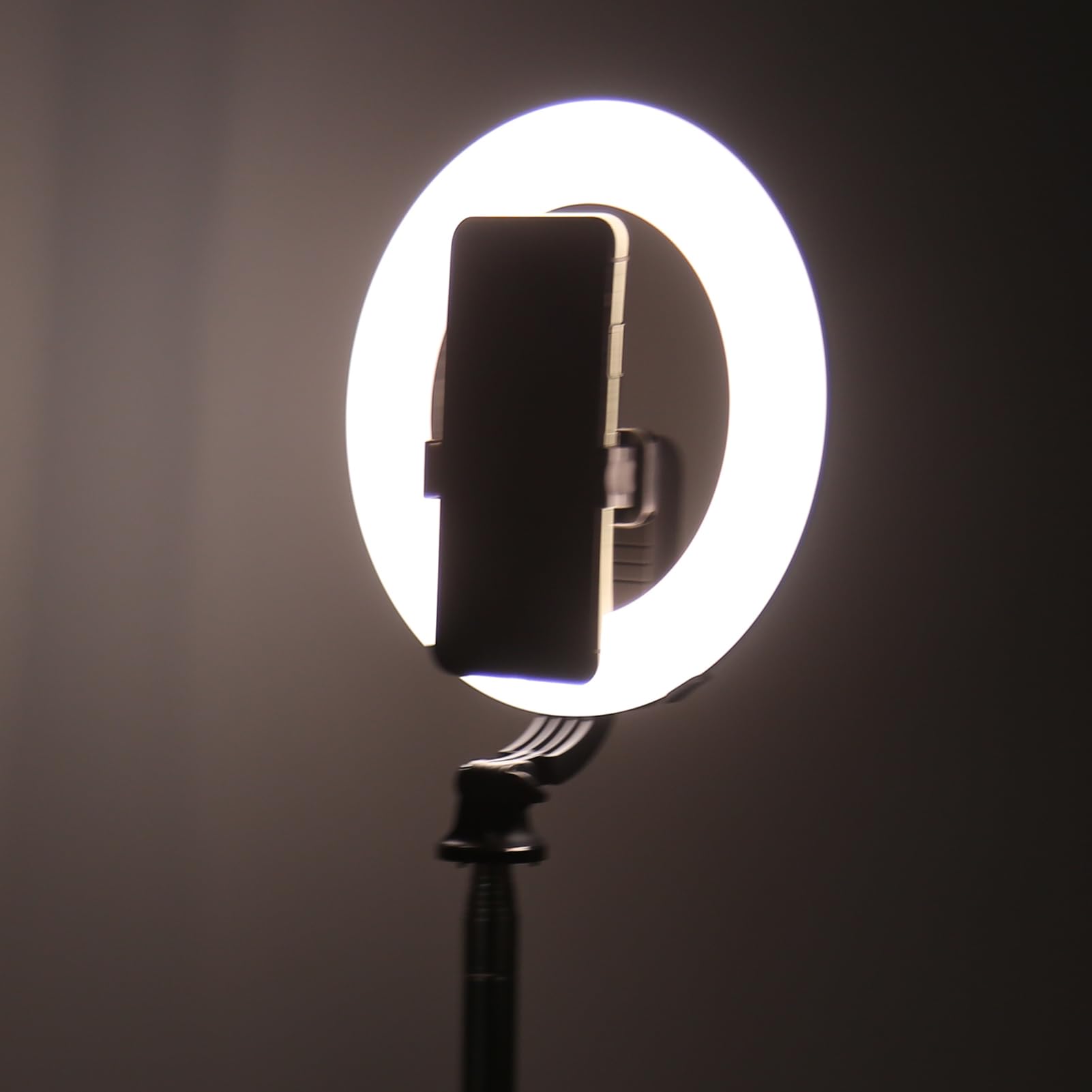 8 Inch LED Ring Light with Adjustable Tripod & Phone Holder - Perfect for Live Streaming, Video Shooting, YouTube, TikTok & Makeup (Dimmable, 3 Color Temperatures) - Ideal for Content Creators, Vloggers & Beauty Enthusiasts