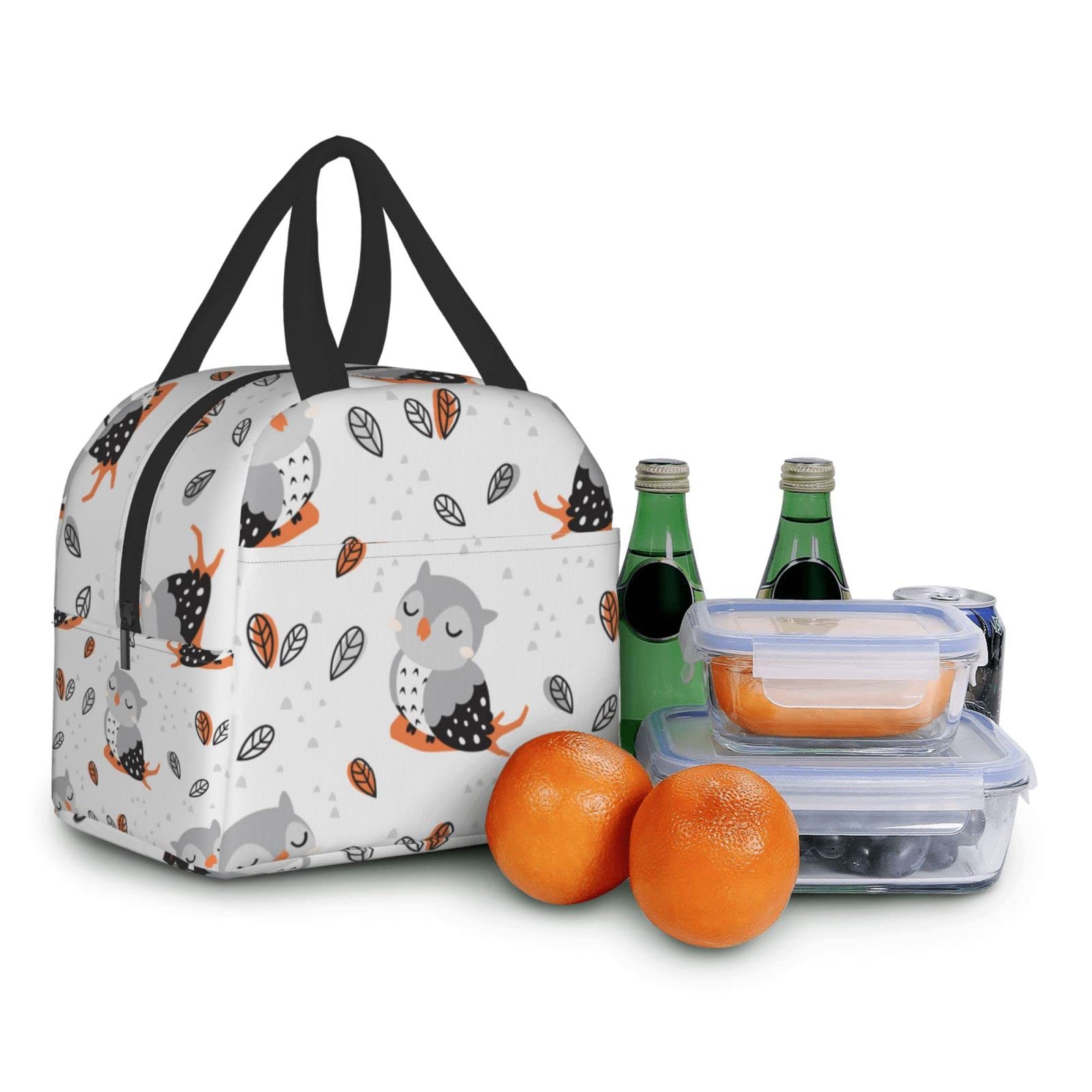 Insulated Owl Lunch Box for Women & Men - Reusable Thermal Lunch Bag for Office, School, Camping, Hiking, Picnic, Beach & Travel - Cute Animal Design Lunch Tote