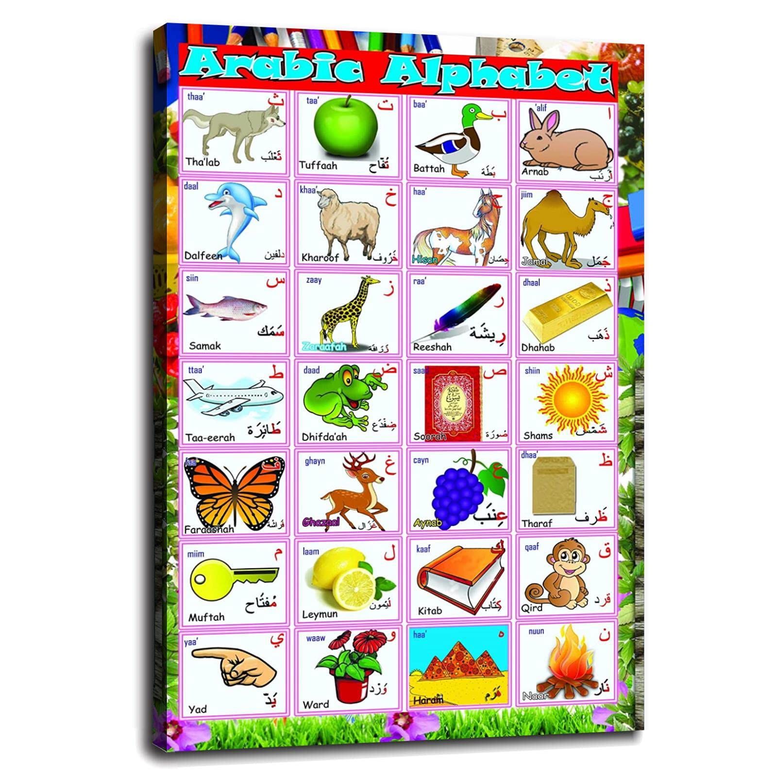 Learn Arabic Alphabet - Educational Language School Poster Canvas Print (36