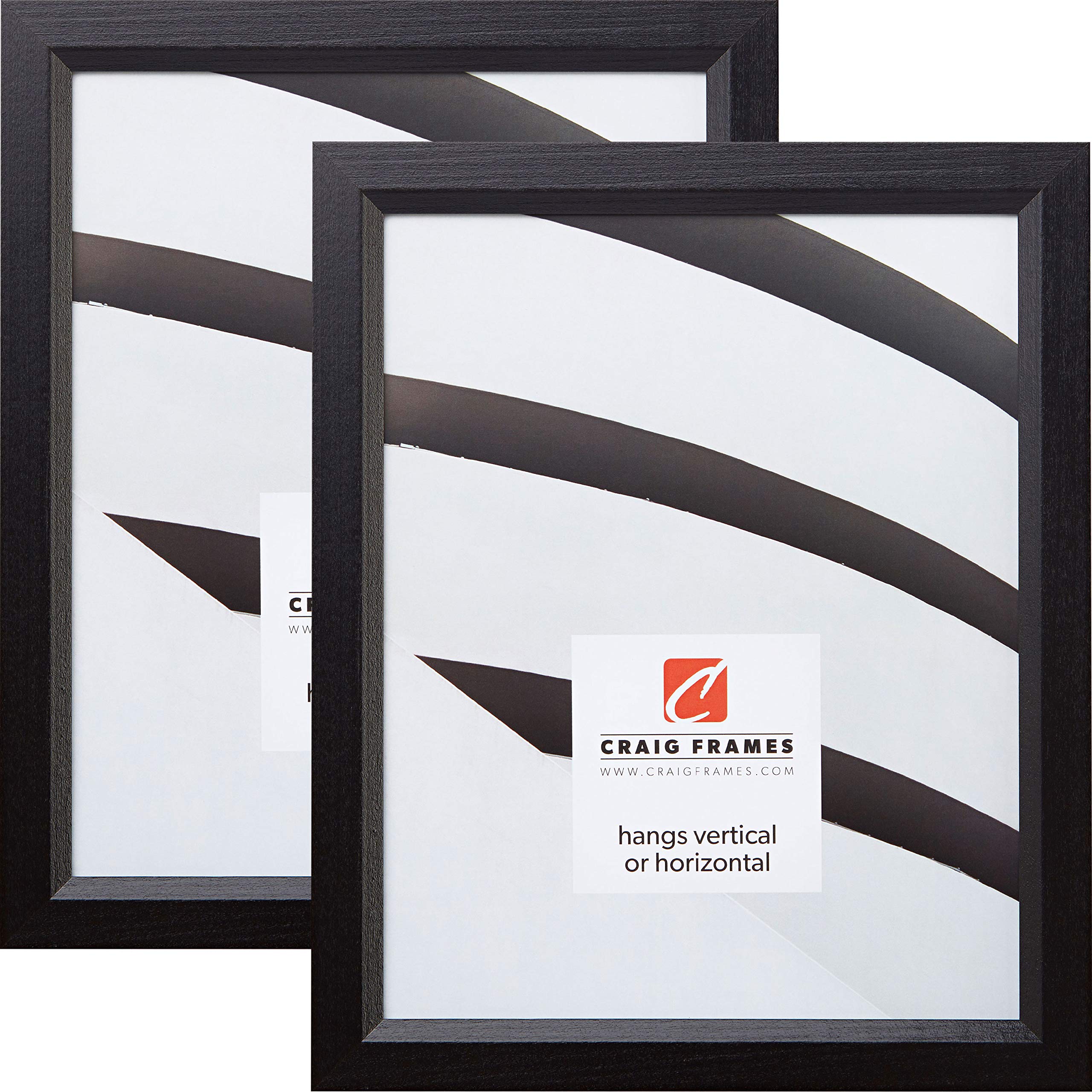 Craig Frames 7171610BK 24 x 30 Inch Black Picture Frames - Set of 2 - Perfect for Home Decor, Office Wall Art & Photo Displays
