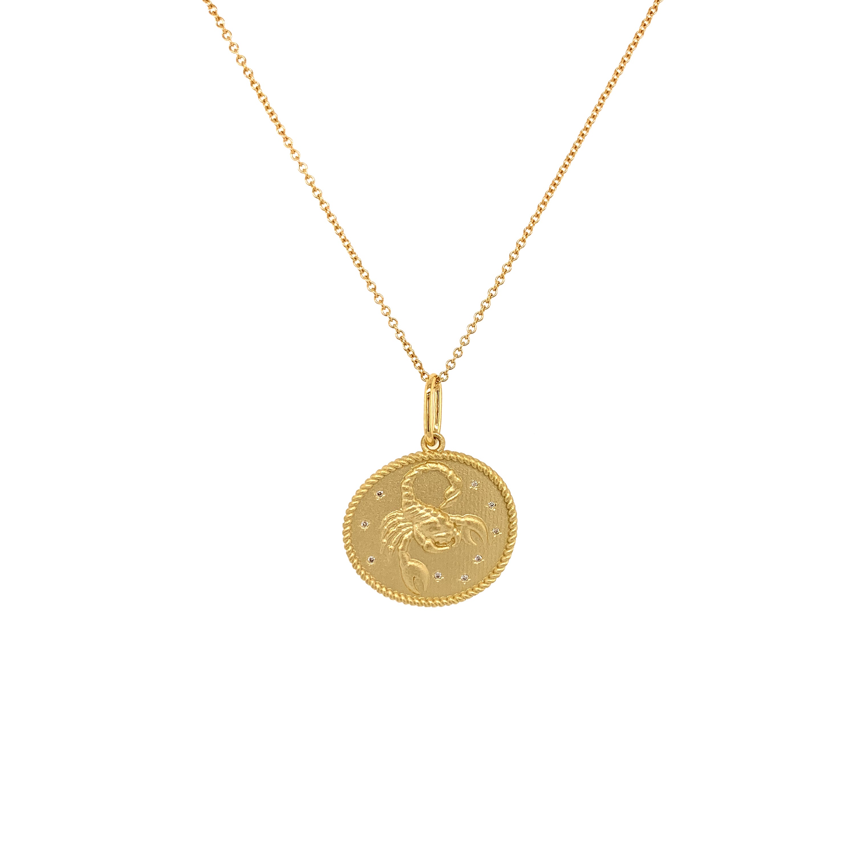 Scorpio Zodiac Pendant Necklace - Double Sided October 24 to November 22 Birthstone Gift - Perfect for Astrology Lovers & Birthday Presents