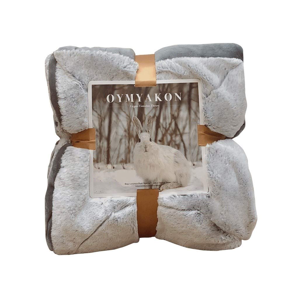 ACCDUER Large Flannel Fleece Blanket - Soft, Comfortable & Luxurious Warm Twin Size Blanket for Bed, Sofa & Travel - Microfiber Fuzzy Throw (200x230cm, Gray) | Perfect for Winter Nights, Camping & Cozy Home Decor