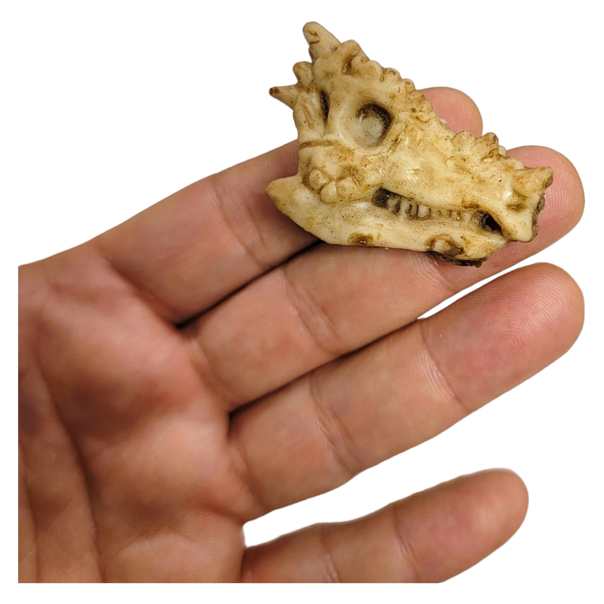 Dinosaur Fossil Pencil Toppers - 12 Pack (2 Inch) Rubber Dino Pencil Caps for Kids | Ancient Aged Look Classroom Supplies, Party Favors & Student Incentives | Perfect for Back to School, Birthday Parties & Educational Rewards