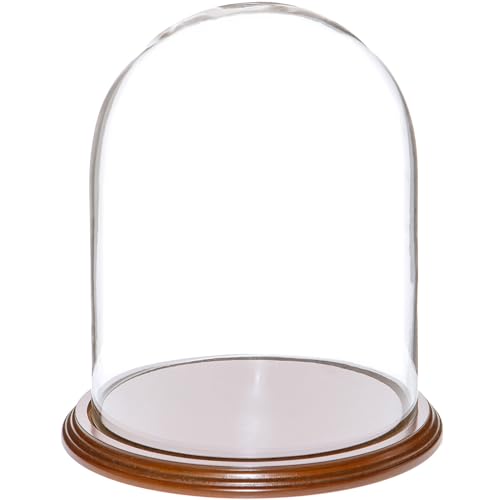 Walnut Veneer Base