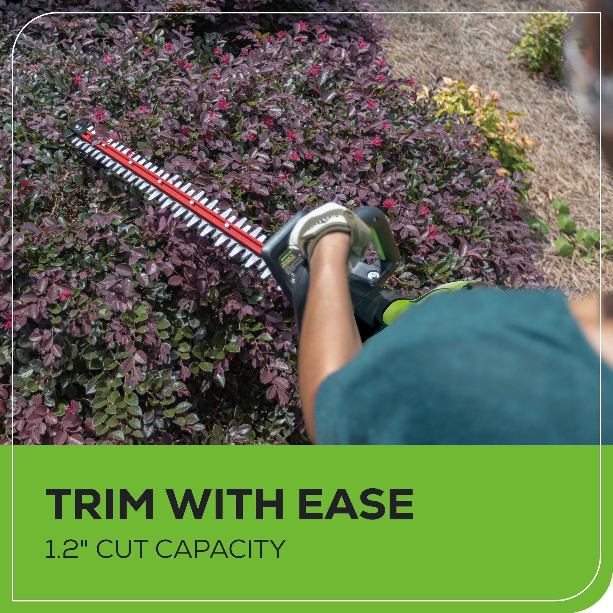 Greenworks 80V 26-Inch Cordless Hedge Trimmer with Brushless Motor, 2.0Ah Battery & Fast 2A Charger Included - Perfect for Landscaping, Yard Maintenance and Professional Gardening