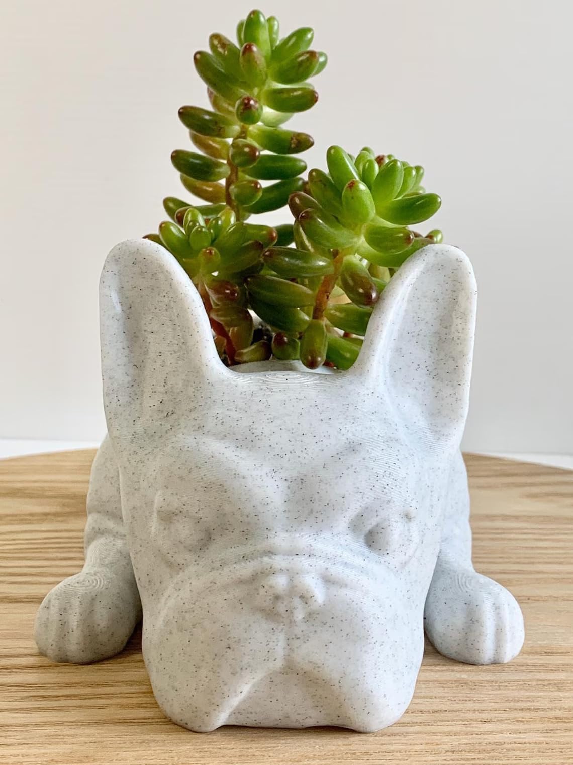 French Bulldog Planter - Cute Doggy Planter for Succulents, Bar & Table Decor, Unique Gift for Dog & Plant Lovers (Marble Design) - Perfect for Home, Office & Garden Decor