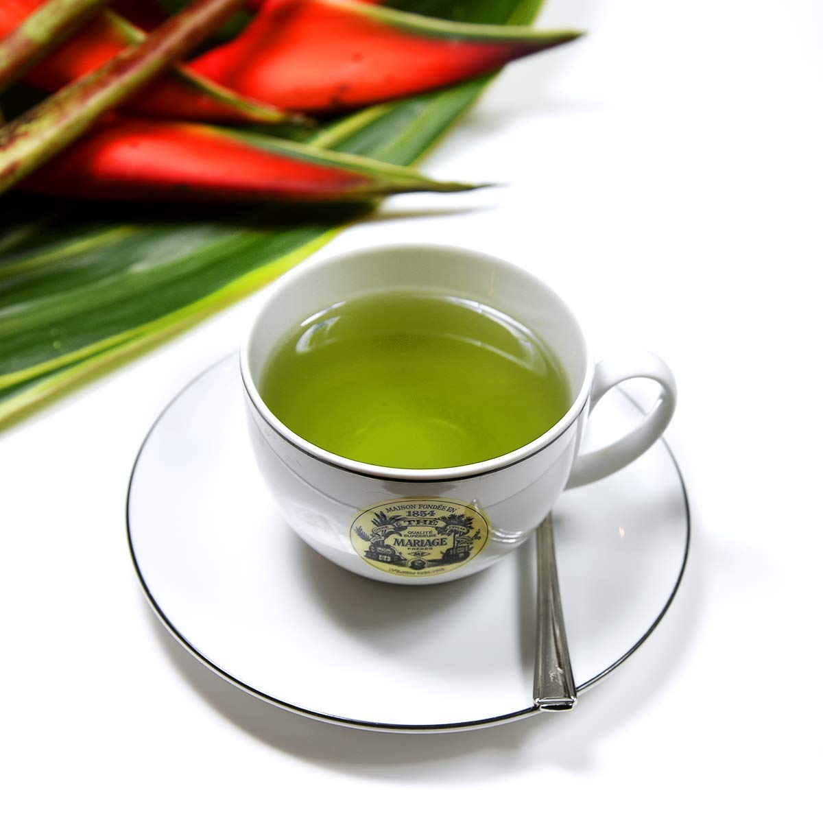 Mariage Freres The Vert Macro Polo Green Tea - 30 Tea Bags in Elegant Gift Box | Premium Loose Leaf Tea for Relaxation, Afternoon Tea & Gourmet Gifting
