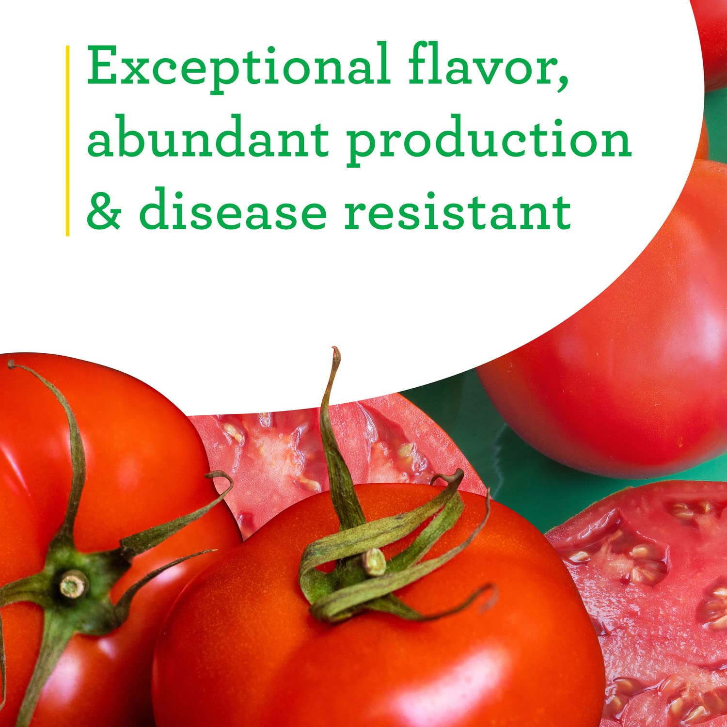 Bonnie Original Tomato Live Vegetable Plants - 4 Pack, Disease Resistant, 6-8 Oz. Fruit Size, Great for Slicing, Fresh Garden-Grown Tomatoes for Salads, Sandwiches & Home Cooking