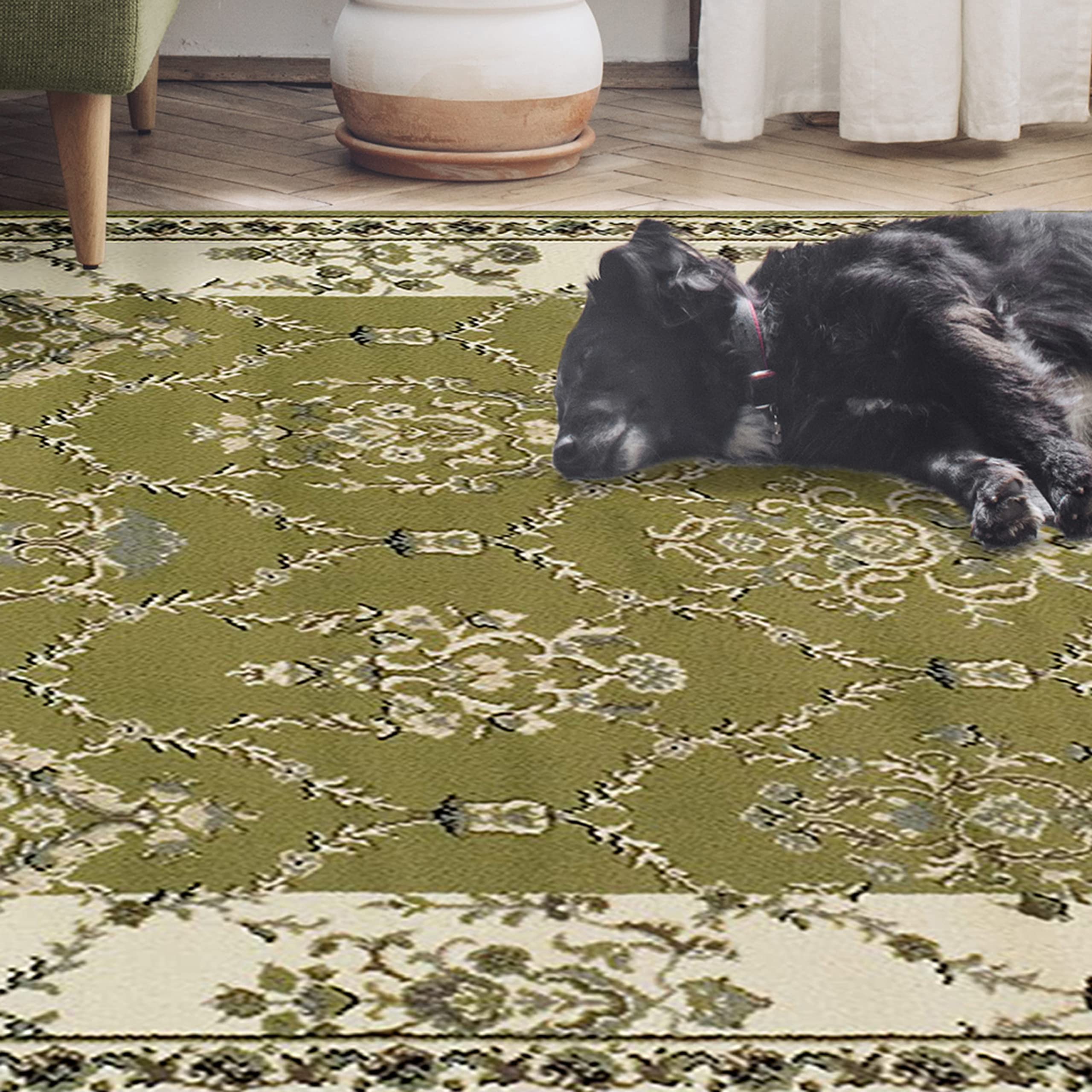 BlueNileMills Stratton Soft Plush Area Rug 4' x 6' - Non-Slip Living Room Carpet for Bedroom, Dorm & Home Decor