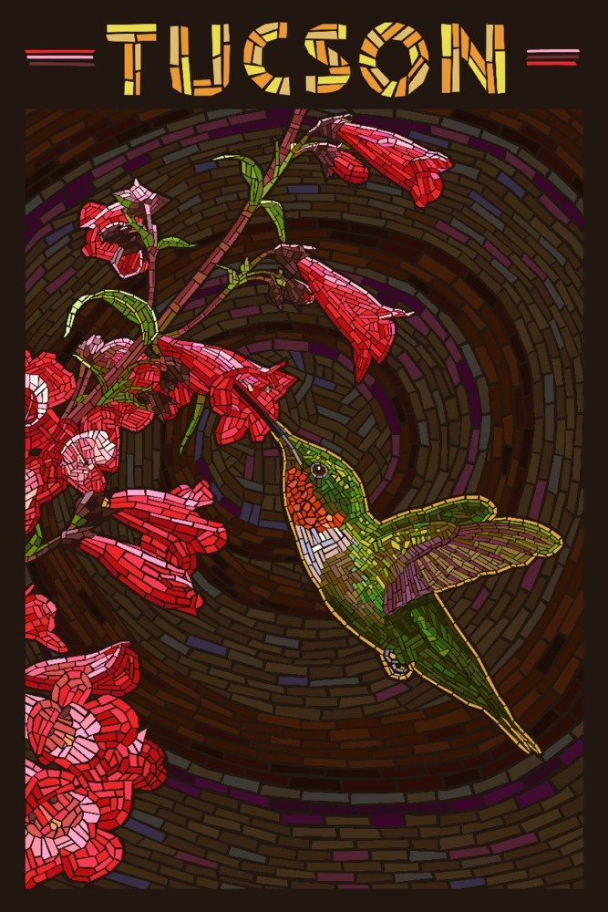 Lantern Press Tucson Arizona Hummingbird Mosaic Wall Art - 16x24 Wrapped Canvas for Living Room, Bedroom & Office Decor