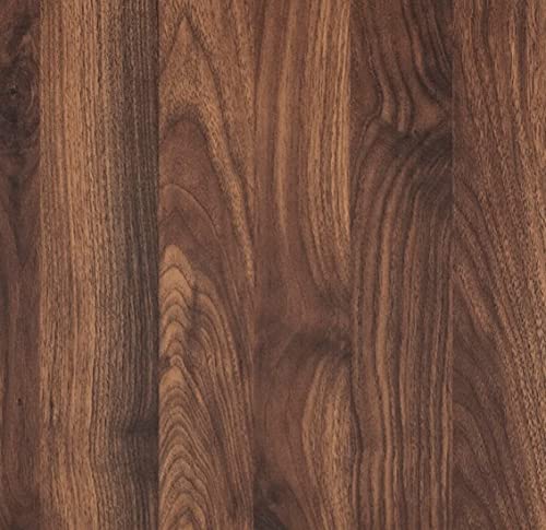 Chestnut