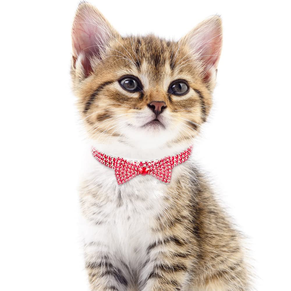 Luxury Diamond Pet Collar - Adjustable Crystal Bow Necklace for Small & Medium Dogs & Cats | Wedding, Party & Special Occasion Accessory