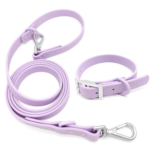 Lilac Purple
