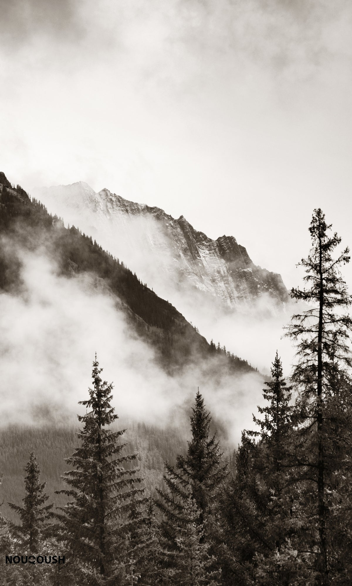 Black & White Mountain View Wallpaper Mural M1141 Sample - Nature-Inspired Wall Decor for Living Room, Bedroom & Office