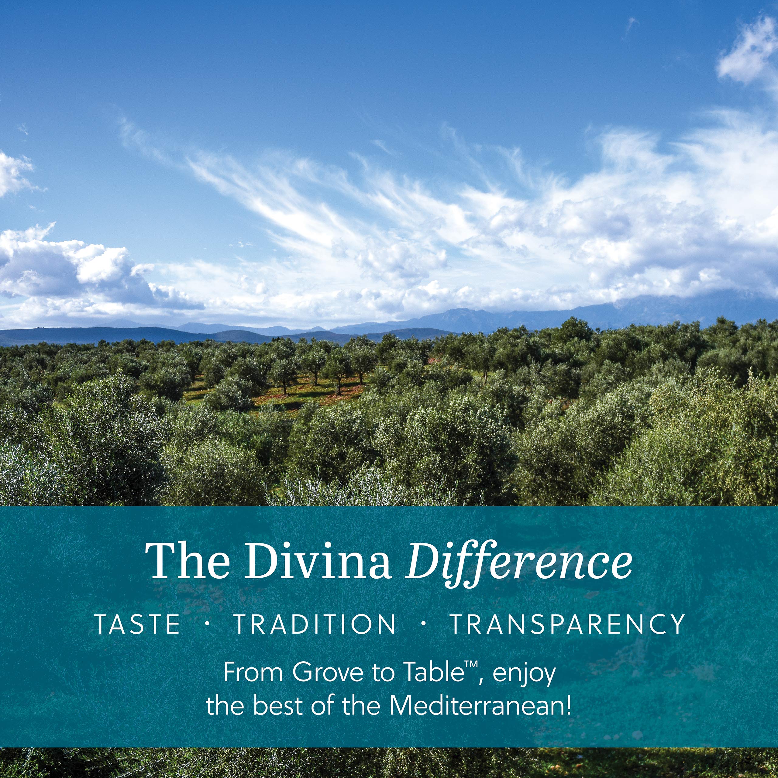 Divina Organic Pitted Kalamata Olives - 6 Ounce Jar | Premium Greek Olives for Salads, Charcuterie Boards & Mediterranean Recipes