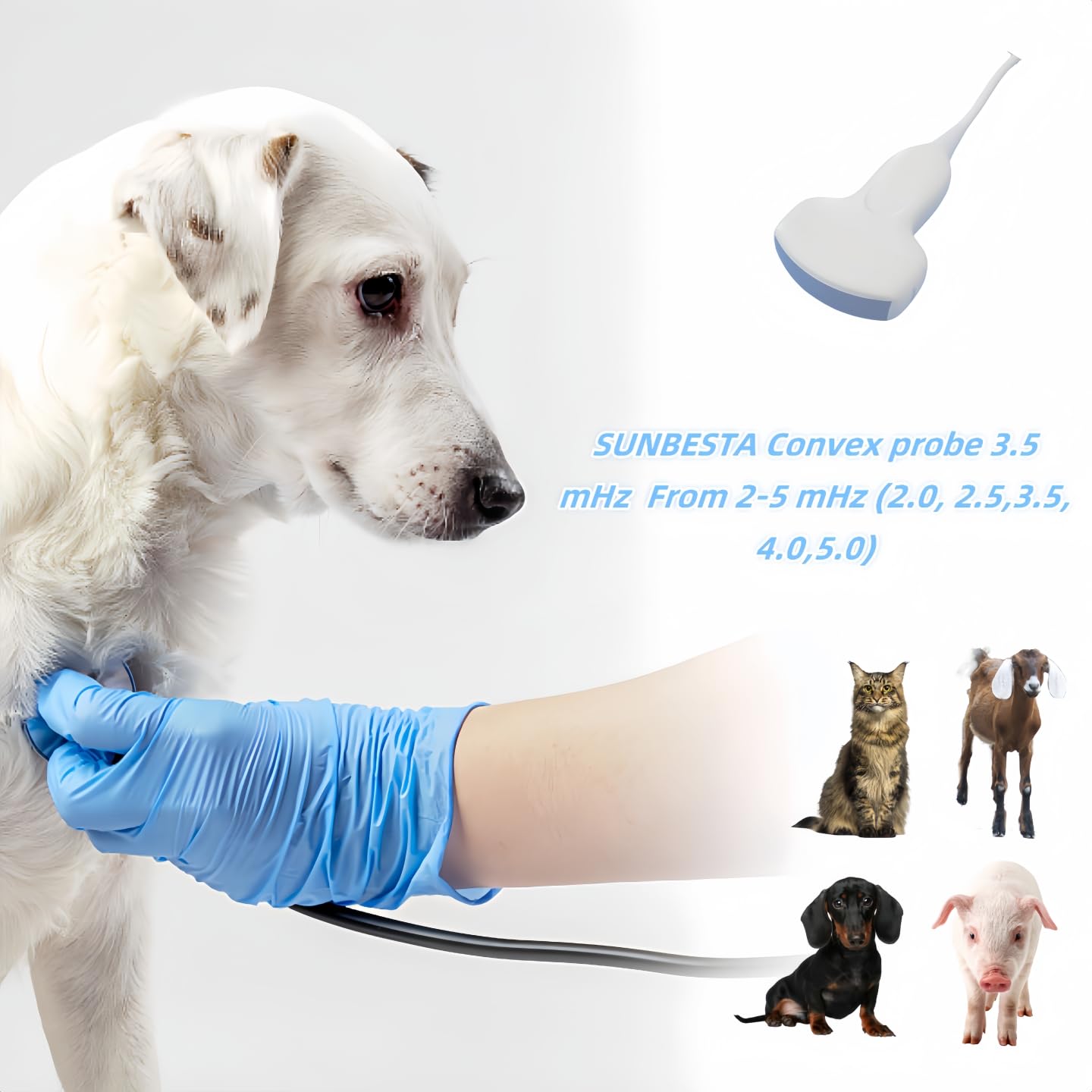 N50 Portable Veterinary Ultrasound Machine for Dogs, Cats, Sheep & Goats - 15-Inch LCD Screen with Convex Probe for Pregnancy Detection | Home & Farm Animal Pregnancy Check, Breeding Management, Veterinary Clinic Use