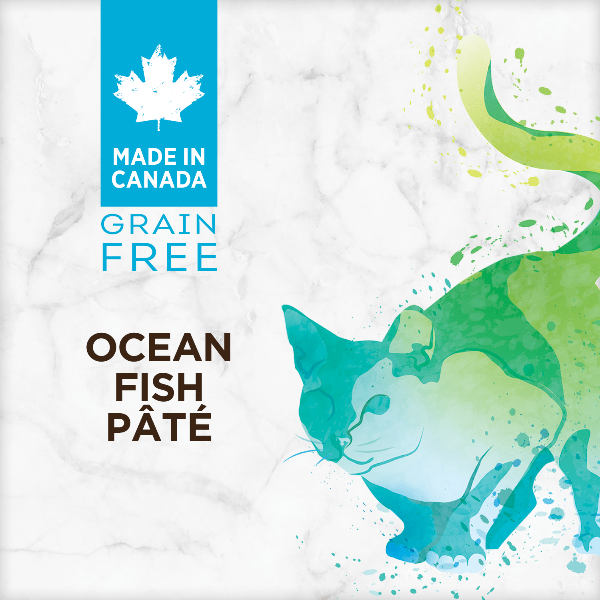 Nutrience Grain Free Ocean Fish Pate Canned Cat Food - High Protein Wet Cat Food for Adult & Senior Cats - Perfect for Picky Eaters & Digestive Health