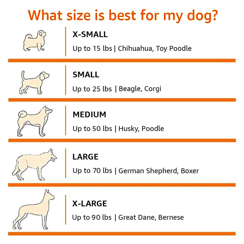 Amazon Basics Double Door Collapsible Dog Crate - Lightweight Soft-Sided Travel Kennel, Portable Folding Dog Cage for Large Dogs (XL 42