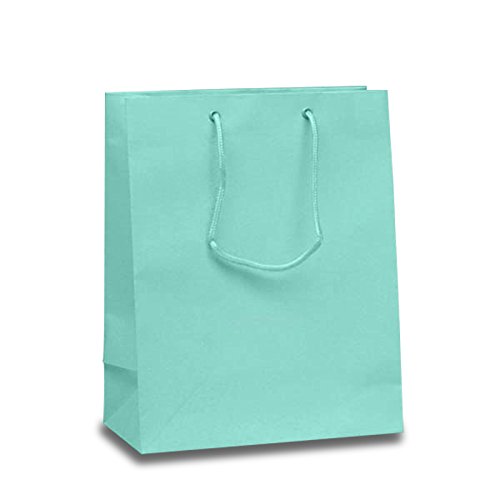 Matte Light Aqua Euro Bags - 13
