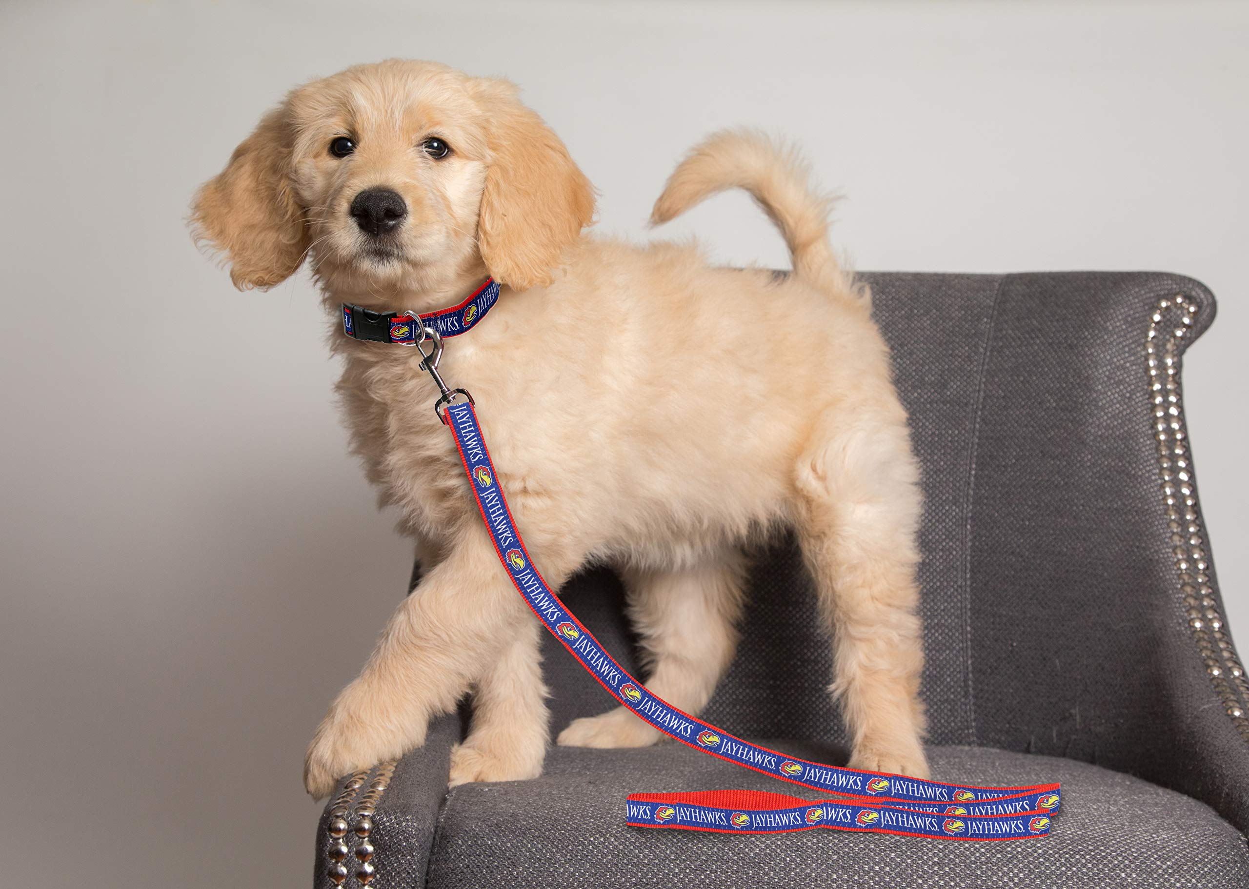 Official NCAA Licensed Kansas Jayhawks Pet Leash - Colorful Reflective Dog Leash & Cat Leash for Small Pets - Perfect for Walking, Training & Outdoor Adventures