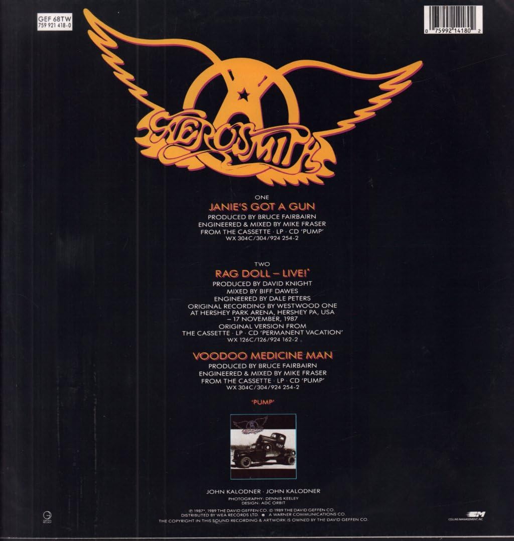 Janie's Got A Gun 12 Inch Vinyl Single - UK Geffen 1989 Record | Limited Edition Collectible Music for DJs & Vinyl Enthusiasts