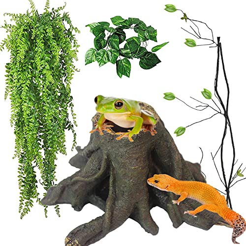【tree Root】