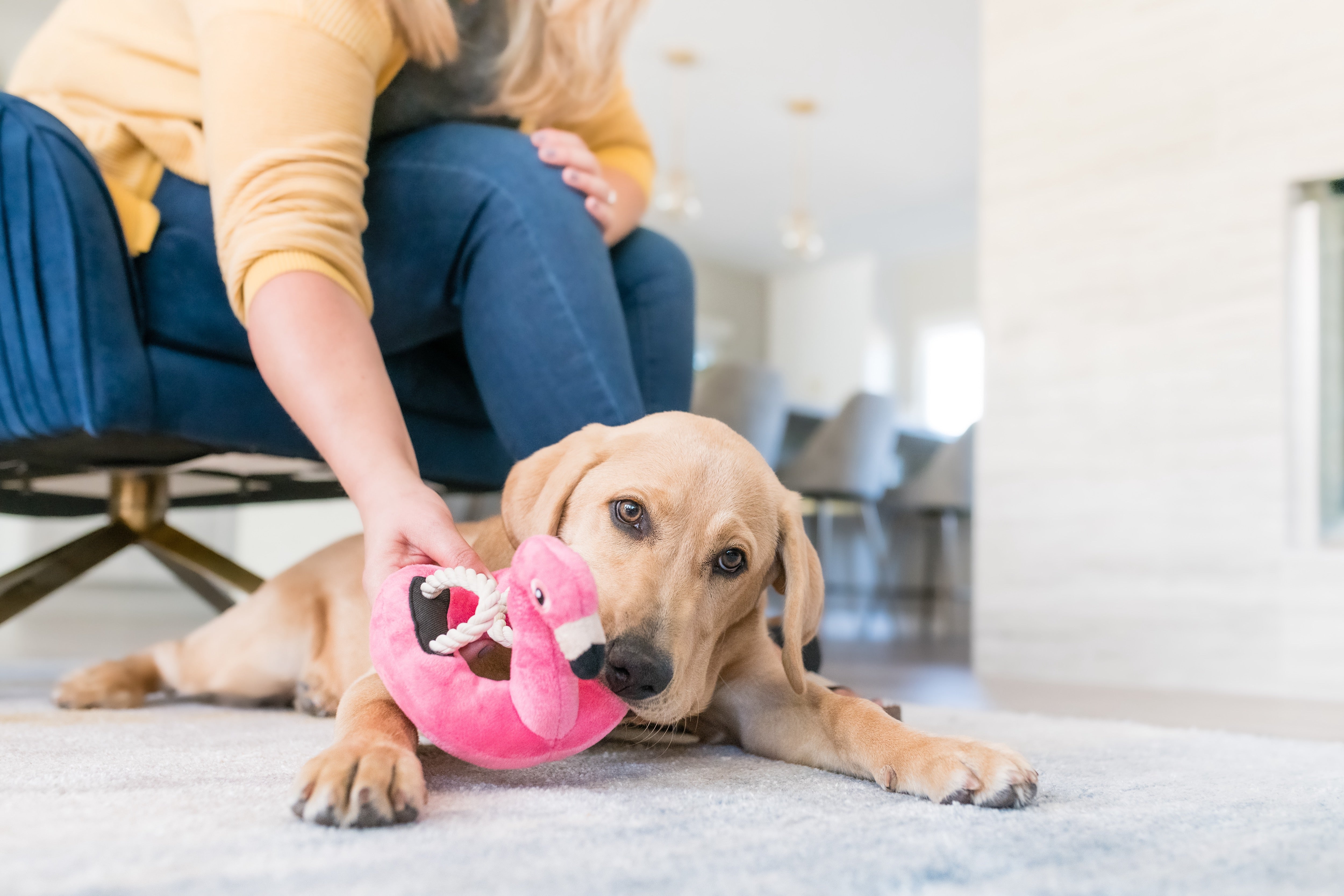 Floating Flamenco Dog Toy Plush - Tropical Paradise™ by Pet P.L.A.Y. | Durable Chew Toy for Pool, Beach & Water Play | Fun Bath Time Floating Toy for Dogs