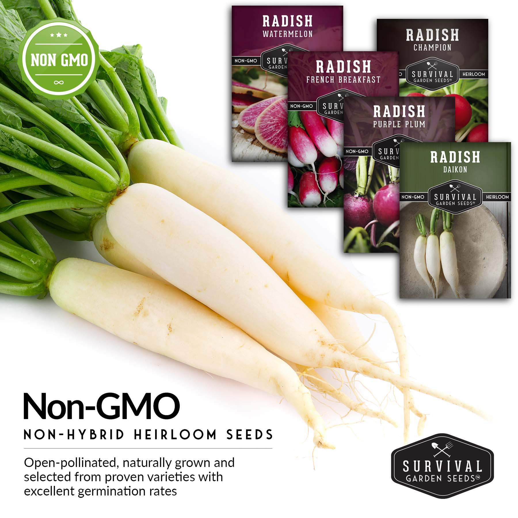 Organic Radish Seeds Collection - Watermelon, Purple Plum, French Breakfast, Daikon & Champion Varieties for Home Gardening | Perfect for Salads, Pickling & Healthy Snacks