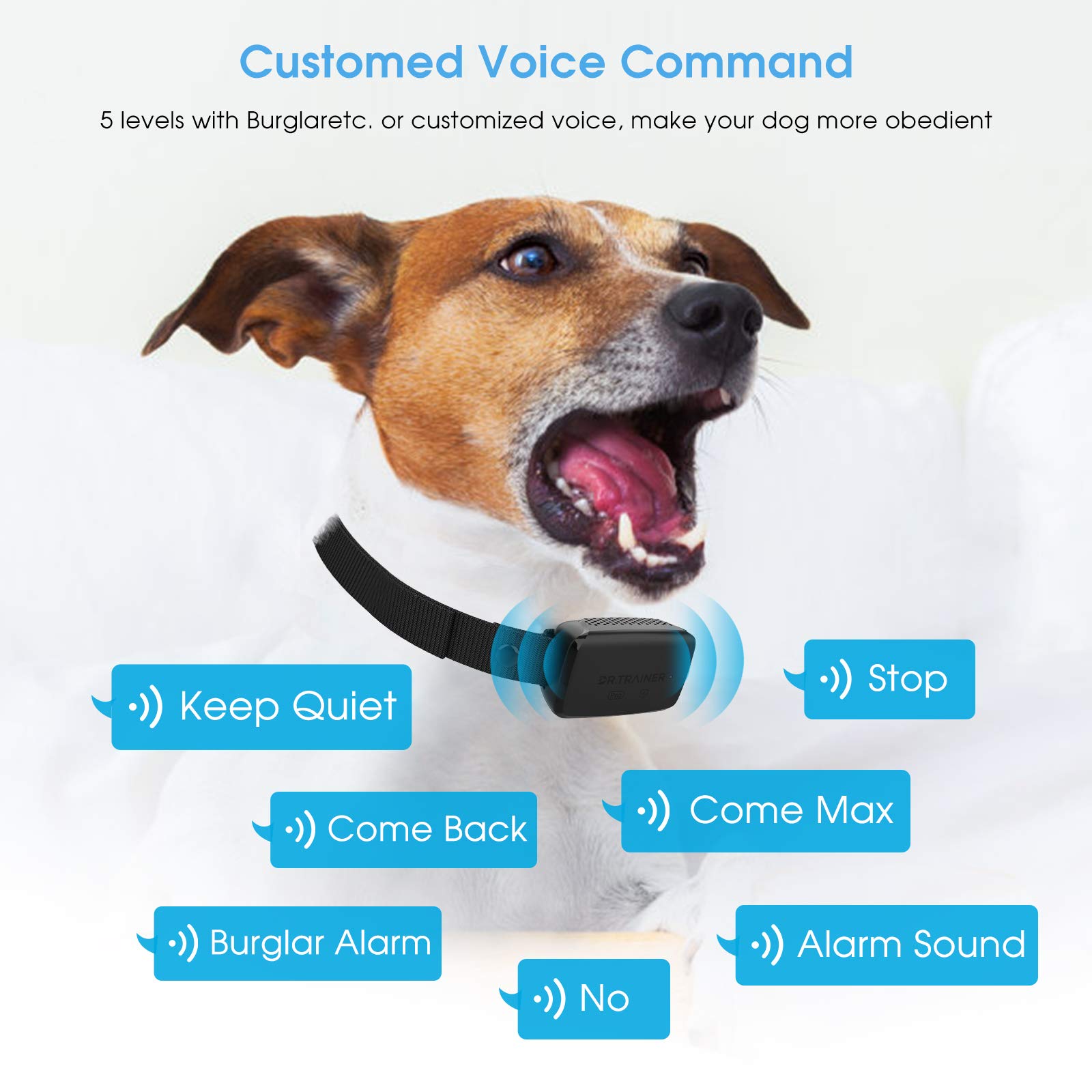 B1sPro Smart Dog Bark Collar with APP & Watch Control - IP68 Waterproof, Rechargeable Anti-Bark Training Collar with Progressive Correction, Barking Report & Custom Sound - Perfect for Home, Yard, and Outdoor Dog Training
