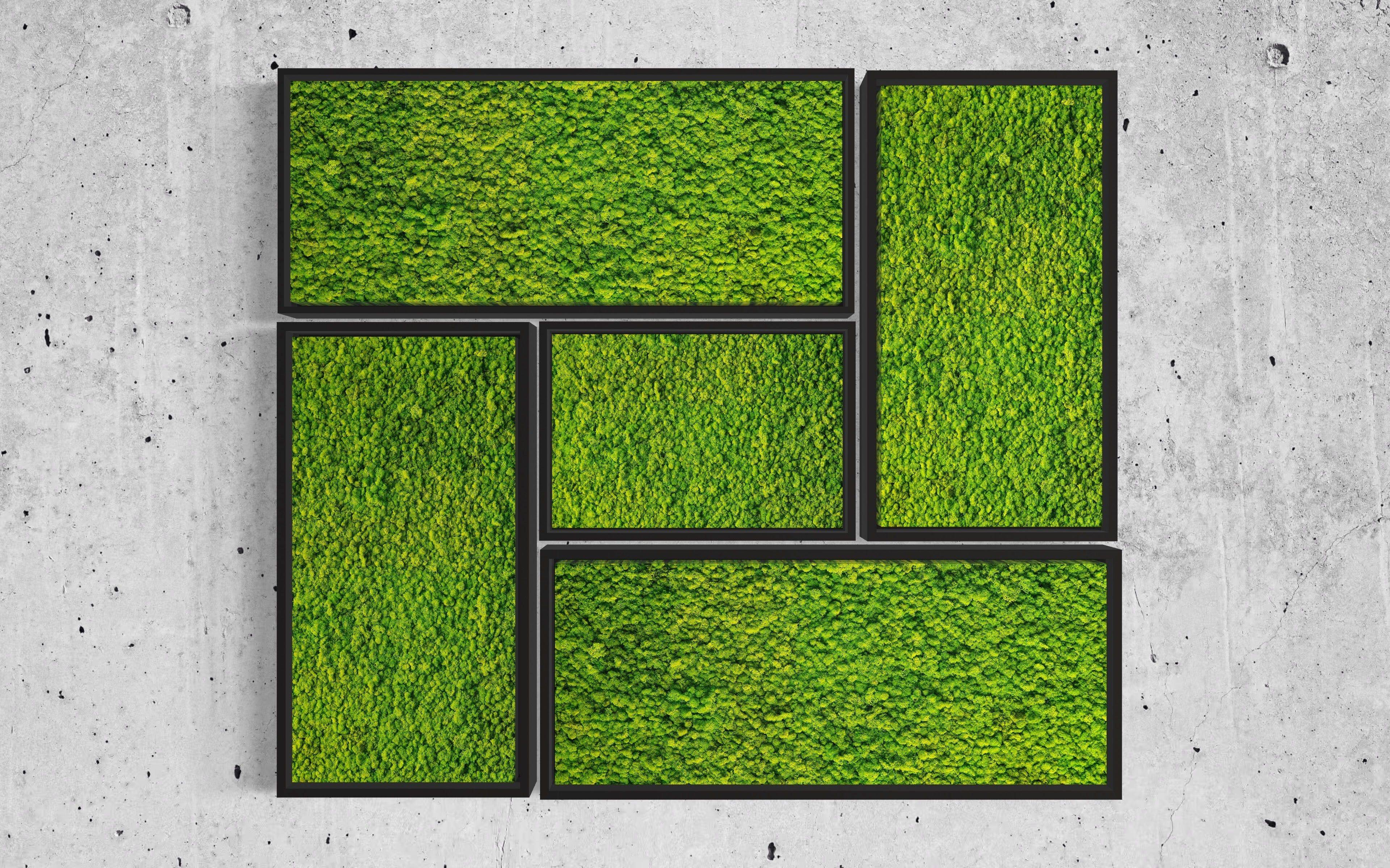 DIY Mosaic Moss Art Kits - Creative Wall Decor for Home, Office & Gifts - Eco-Friendly Botanical Art Projects for Relaxation & Stress Relief