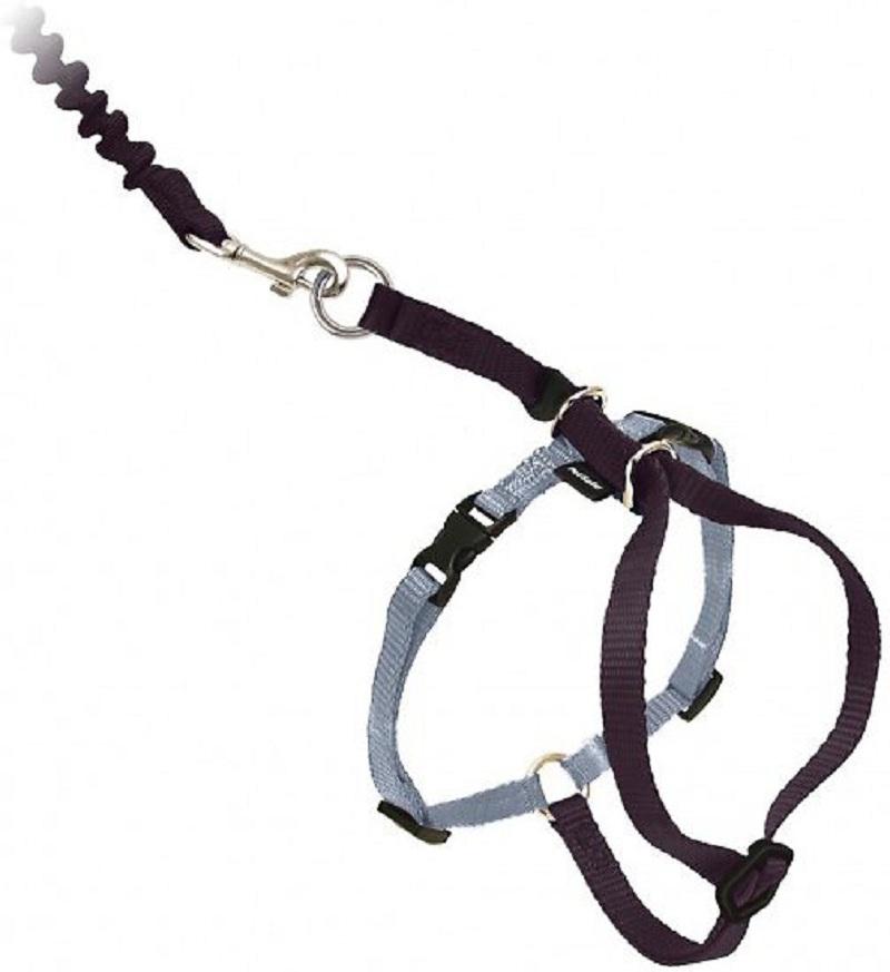 Come With Me Kitty Cat Harness and Bungee Leash Set - Adjustable Pet Safety Vest for Indoor/Outdoor Adventures