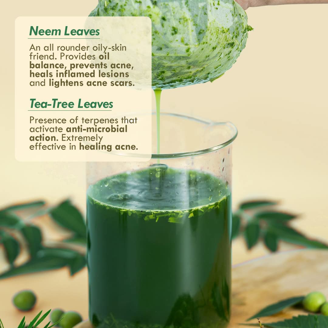 Nat Habit 100% Natural Neem & Tea Tree Anti-Acne Face Gel for Oily & Acne-Prone Skin | Glycerin-Free, 80g Each (Pack of 2) | Daily Skincare Routine for Clear, Healthy Skin