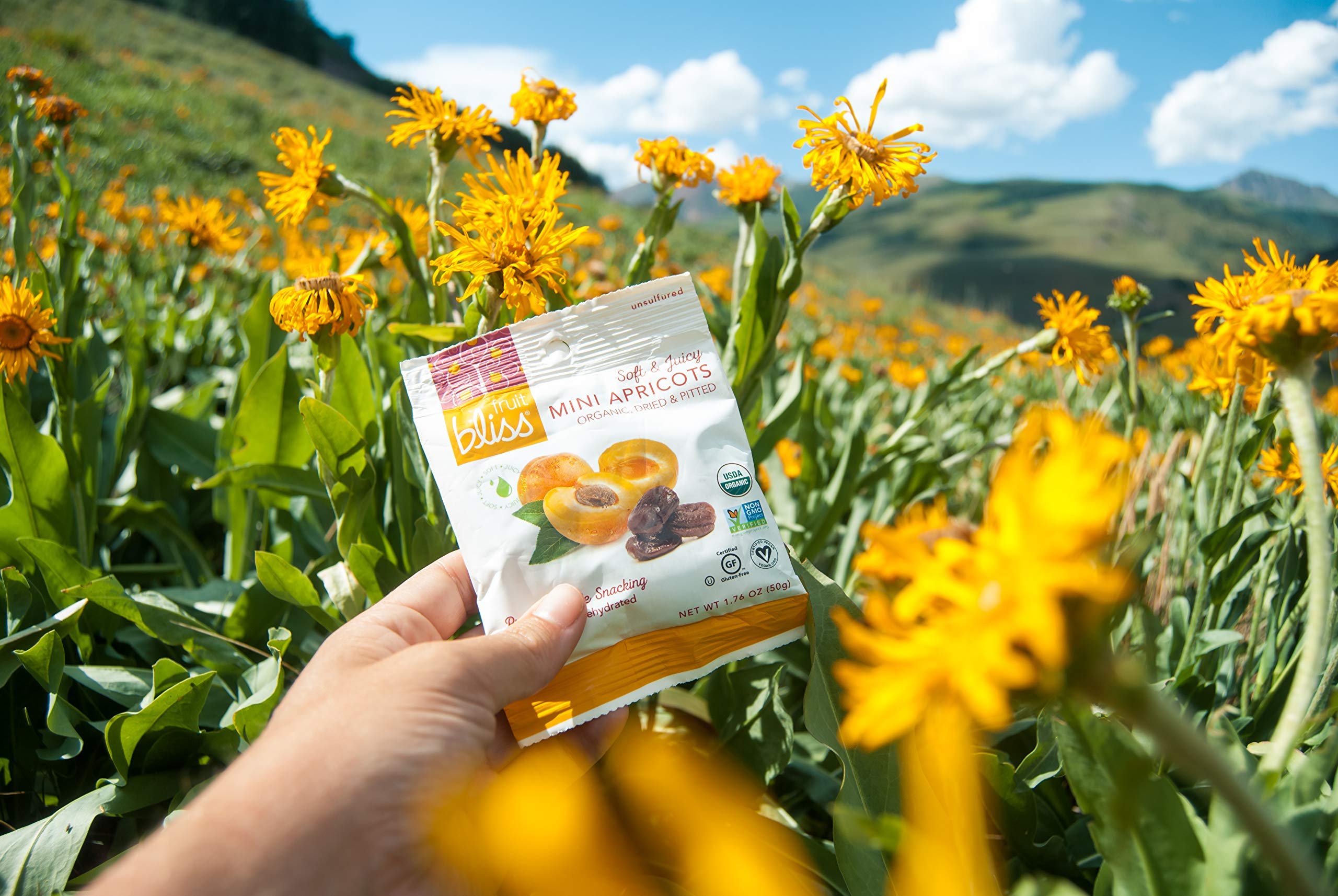 Organic Unsulfured Turkish Dried Apricots - Non-GMO, Gluten-Free Healthy Snack - 12 Pack (1.76 oz Each) - Perfect for On-the-Go, Post-Workout & Kids Lunch Boxes