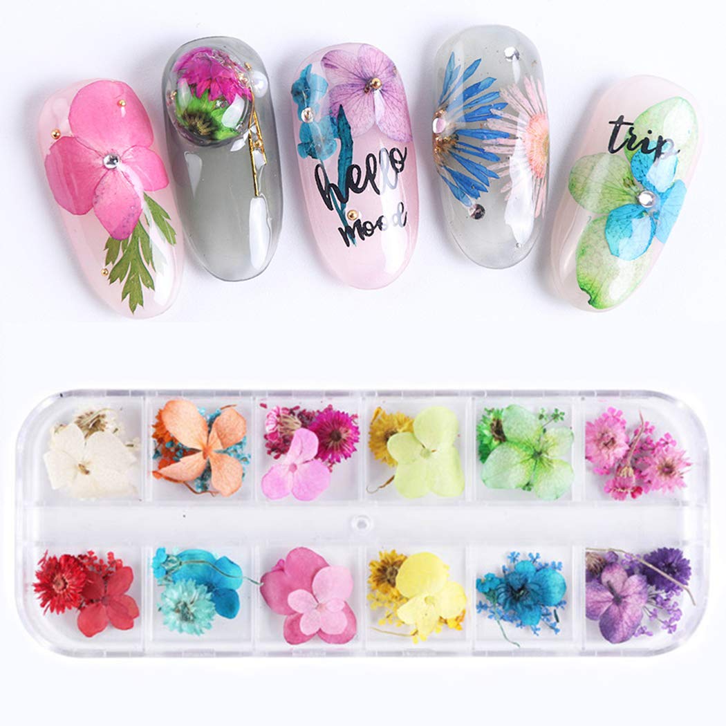 Dorakitten 1 Box Creative Dried Flower Nail Art Decorations - Floral Nail Supplies Kit for DIY Manicure, Nail Salon & Home Nail Design