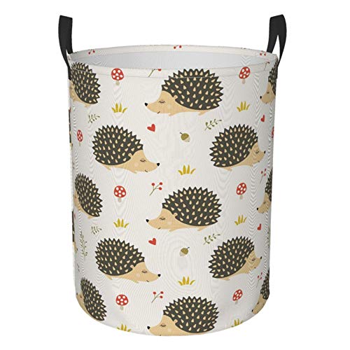 Cartoon Hedgehogs