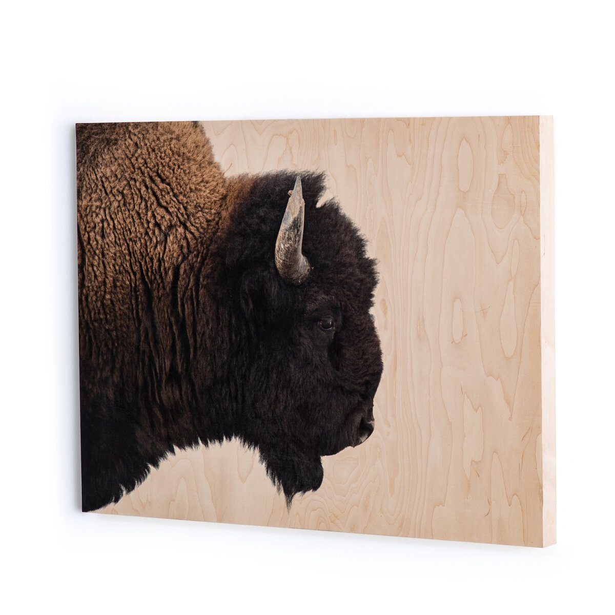 American Bison Wildlife Wall Art Print - 48x36 Inches Premium Canvas - Perfect for Home Decor, Office & Living Room Wall Decorations