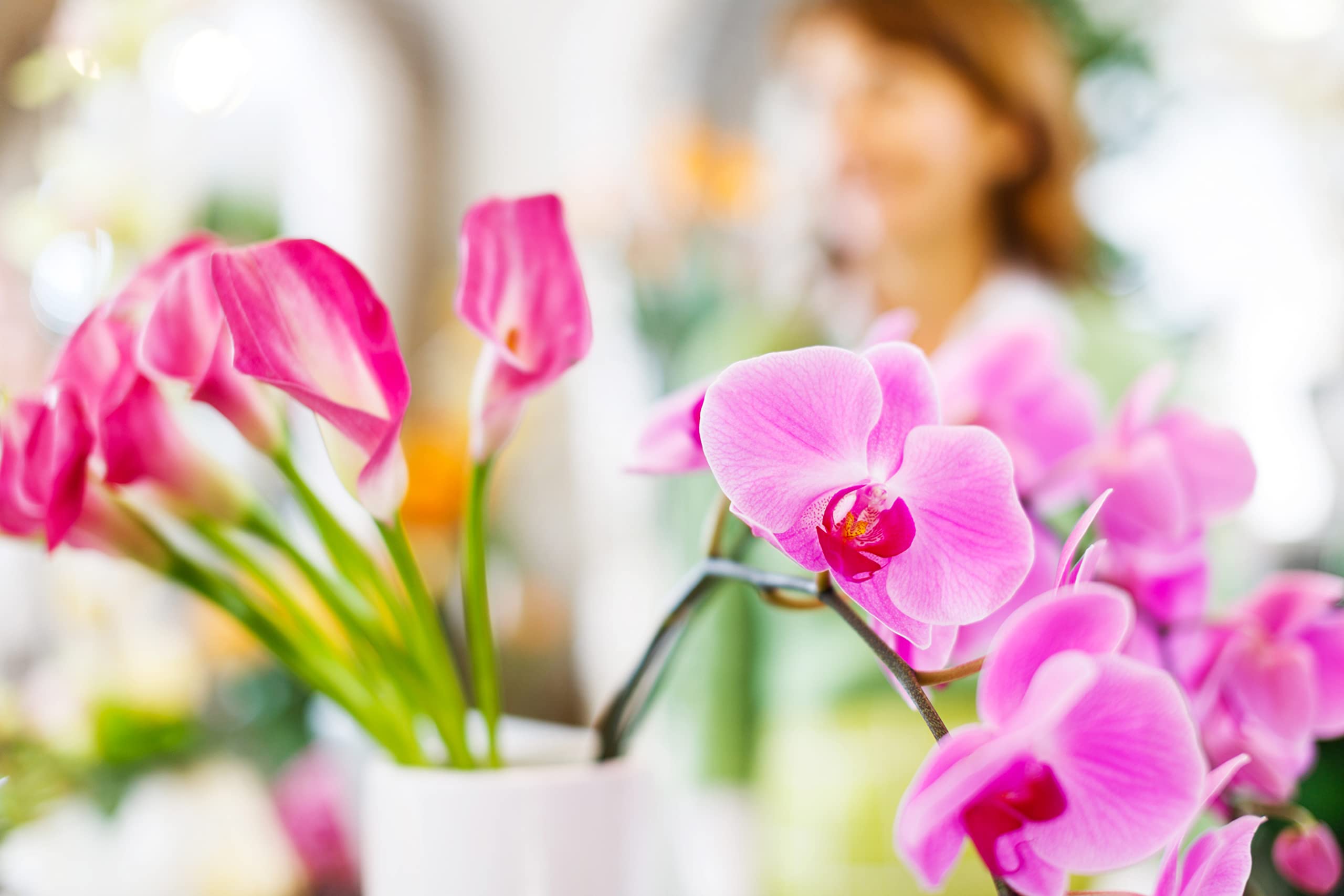 Premium Orchid Food Drops - Year Supply Concentrated Fertilizer for All Orchid Species | Indoor & Outdoor Plant Care | Perfect for Home Gardens, Office Decor & Florist Supplies