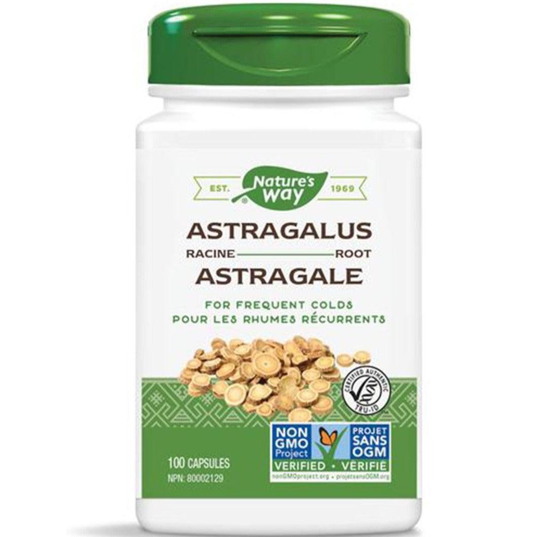 Nature's Way Astragalus Root Extract 470mg - 100 Capsules | Immune System Support & Energy Boost | Perfect for Daily Wellness & Cold Season Defense