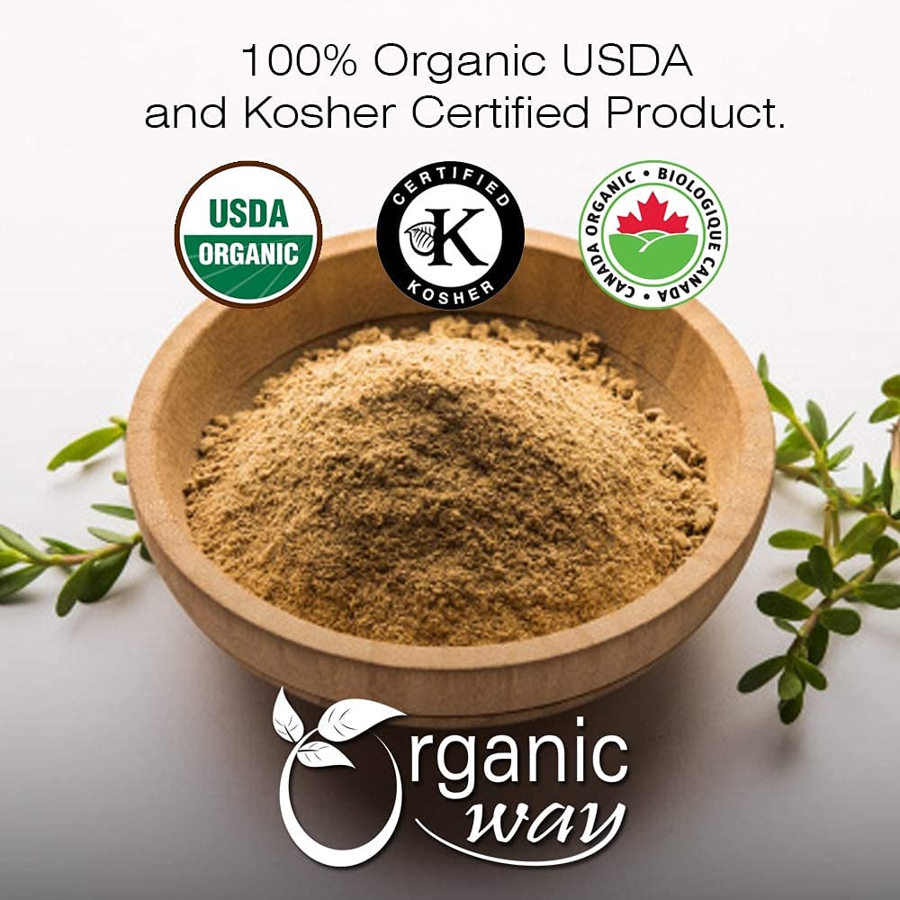 Organic Brahmi Leaf Powder (Bacopa Monnieri) - USDA Certified Organic, Kosher, Vegan, Non-GMO, Gluten-Free | 8 Oz | Memory & Brain Support Supplement | Perfect for Smoothies, Teas & Ayurvedic Remedies