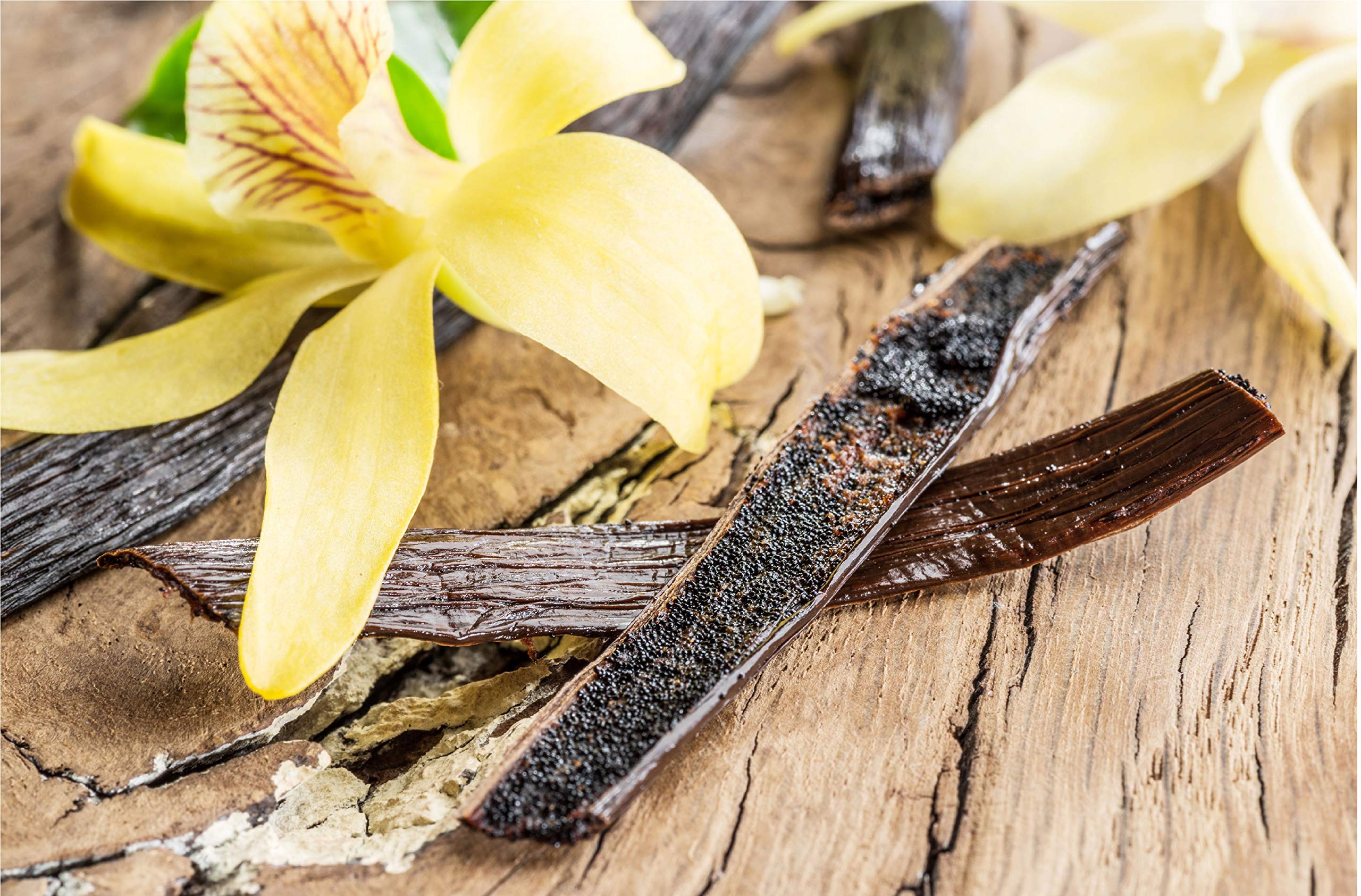 Premium Grade A Tahitian Vanilla Beans - 1/2 LB Whole Gourmet Pods for Homemade Vanilla Extract, Baking, Cooking & Desserts | Perfect for Ice Cream, Coffee, Cocktails & DIY Gifts