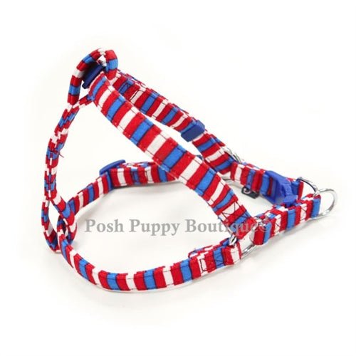 EasyCLICK No-Pull Dog Harness with Fun Stripes - Adjustable Pet Vest for Small to Medium Dogs - Perfect for Walking, Training & Outdoor Adventures