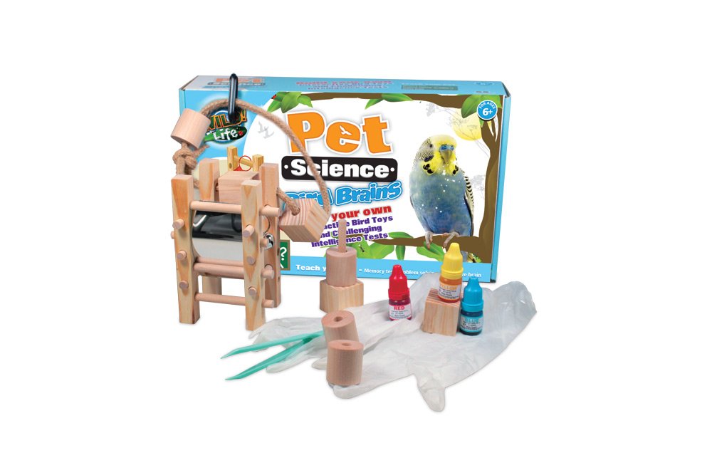 Wild Science Bird Brain - Fun & Educational STEM Toy for Kids | Learn About Birds & Science | Perfect for Classroom, Homeschool & Outdoor Exploration