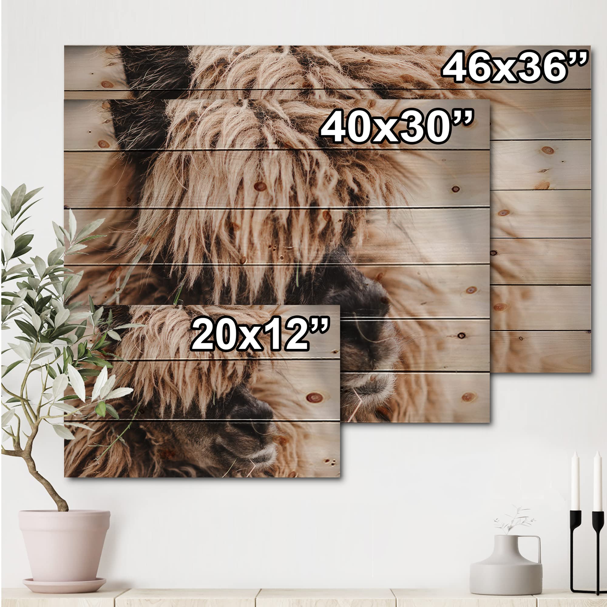 Fluffy Curly Alpaca Wood Wall Art - Farmhouse Animal Decor Printed on Natural Pine Wood - Large Rustic Wall Panels for Living Room, Bedroom & Nursery Decor
