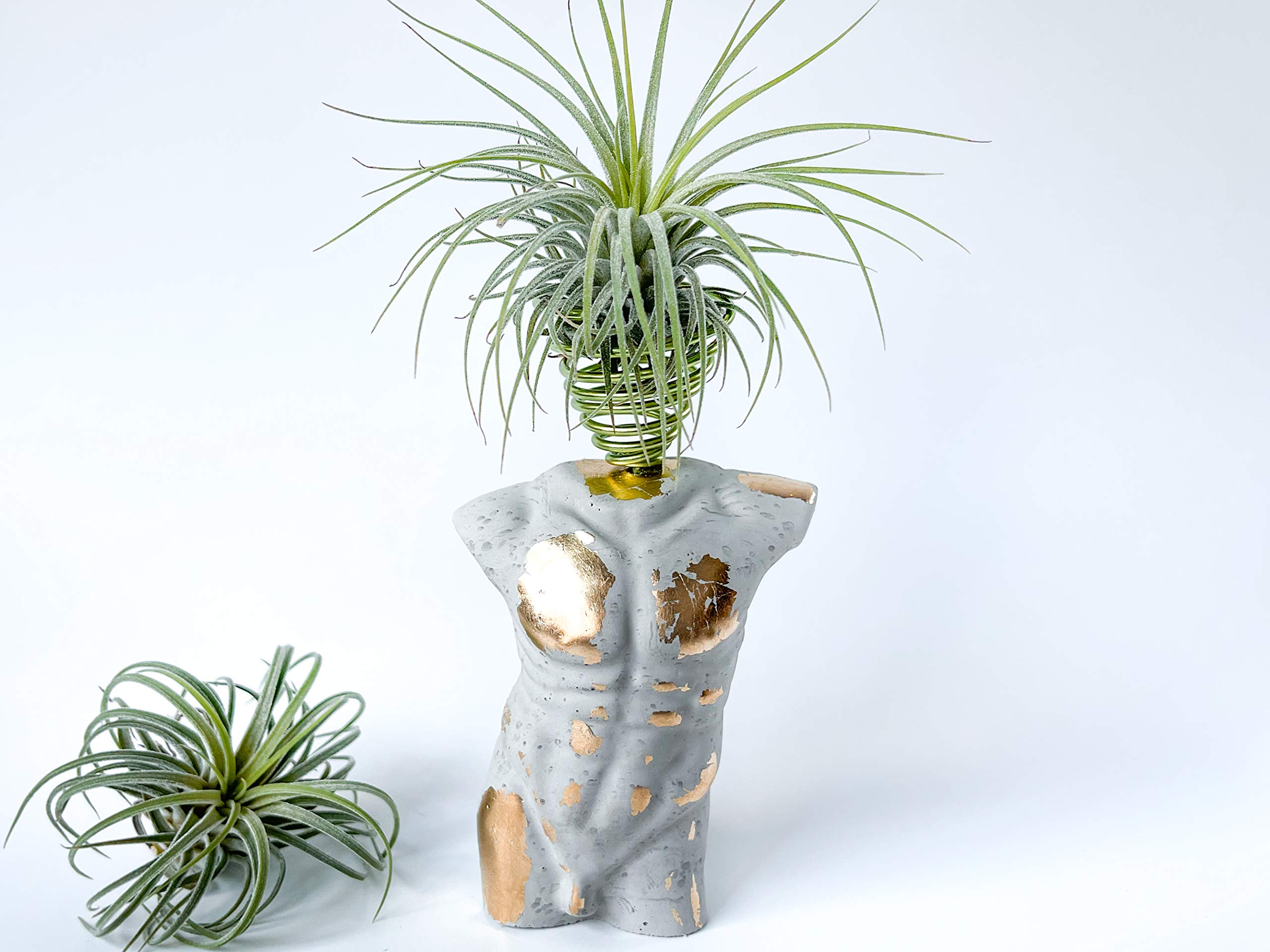Set of 2 Air Plant Holders - Unique Concrete Mini Body Sculptures with Gold Leaf Accents | Modern Tillandsia Display Pots for Boho Home Decor | Perfect for Desk, Table, Shelf & Office Decorations