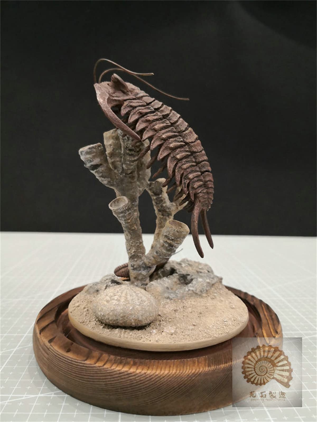 VWUVWU 1:1 Scale Trilobite Fossil Model - Realistic Arthropod Skeleton Figure, Resin Collector's Decor & Unique Gift for Adults - Perfect for Paleontology Enthusiasts, Home Office Display & Science Education