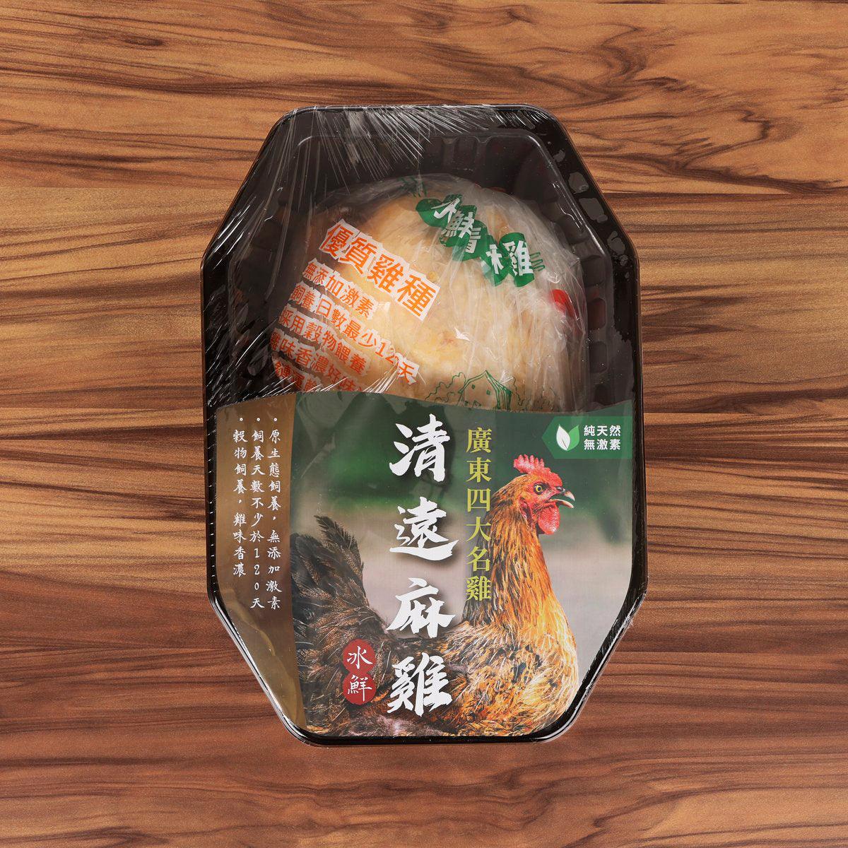 Premium Qingyuan Free-Range Chicken - Fresh Chilled Whole Chicken (1pc) - Perfect for Roasting, Grilling, or Slow Cooking at Home
