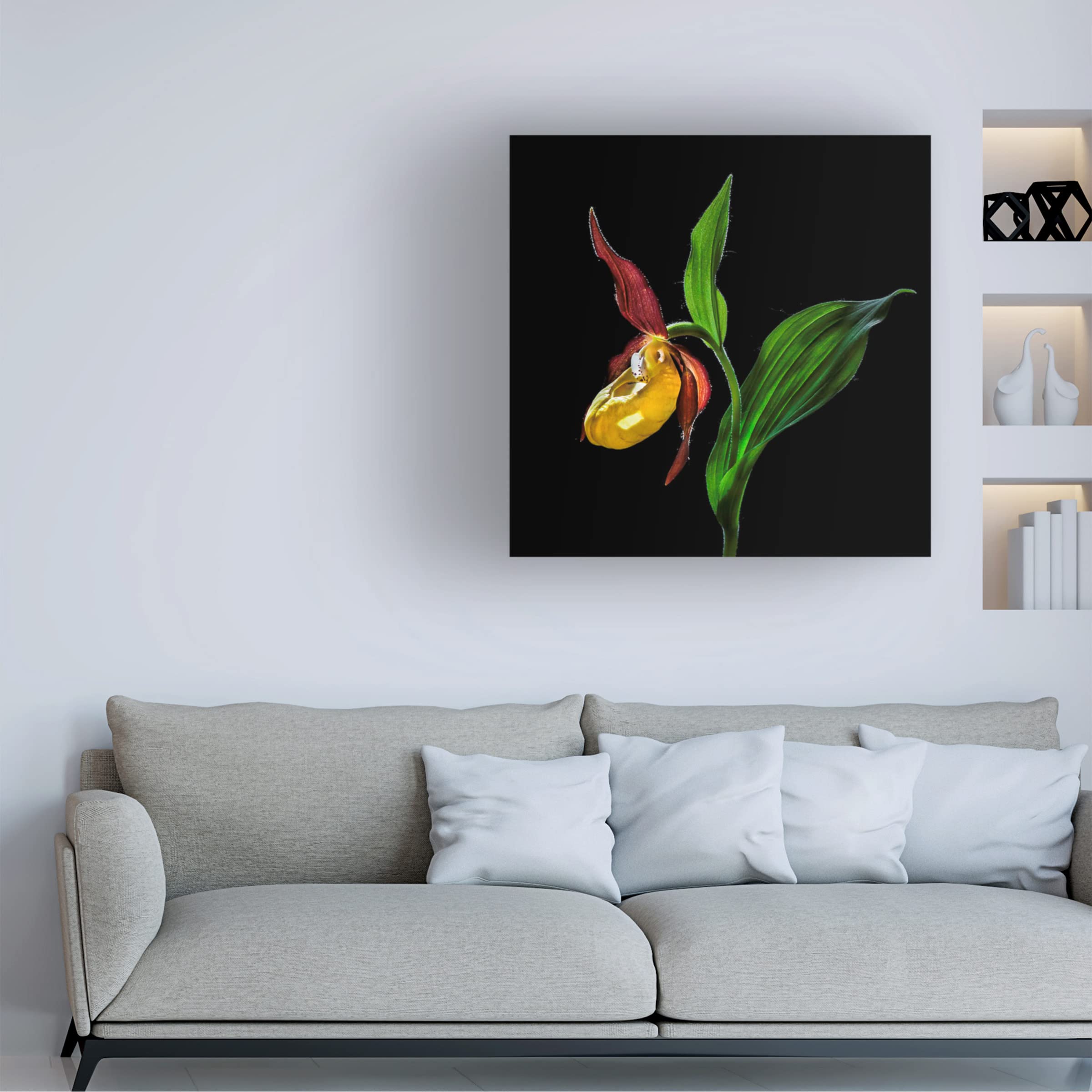 Trademark Fine Art 'The Lady's Slipper Orchid' Canvas Wall Art by Nora De Angelli - Elegant Floral Painting for Living Room, Bedroom & Office Decor