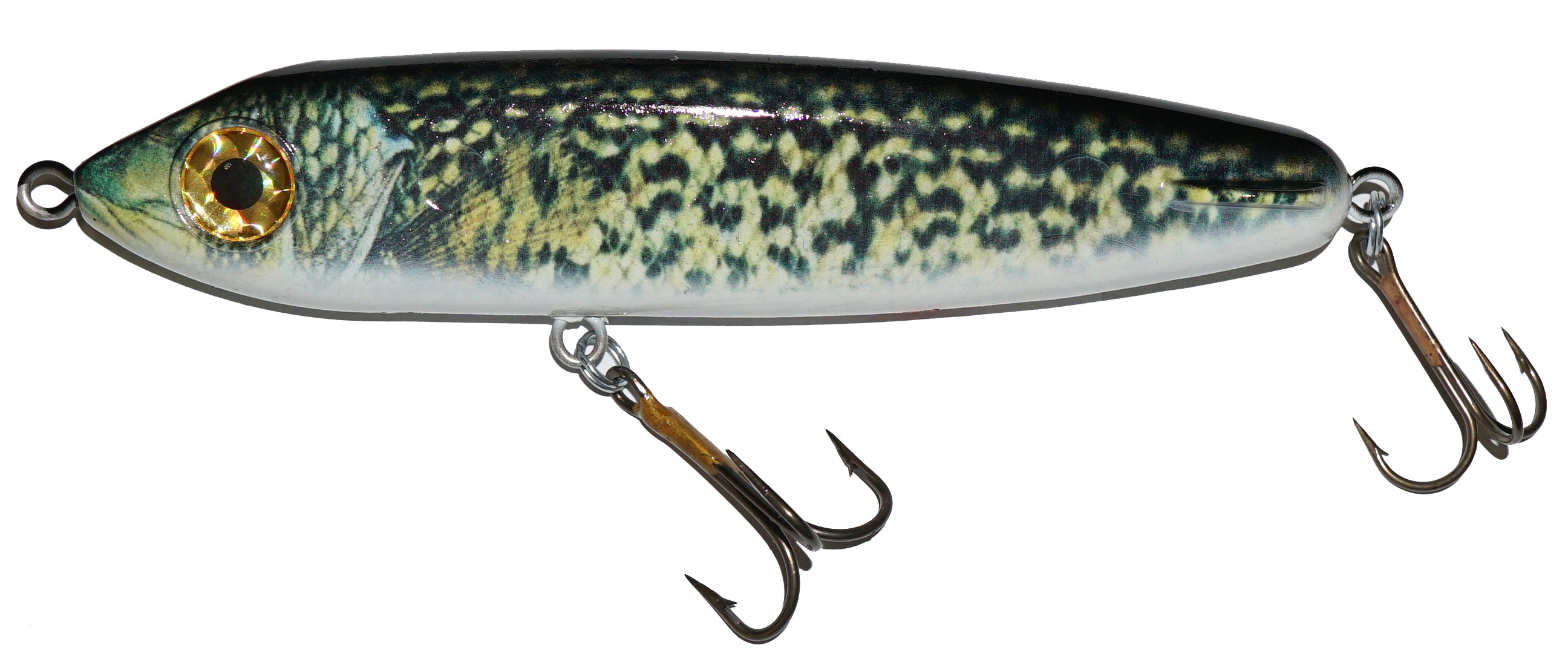 Live Image Carp