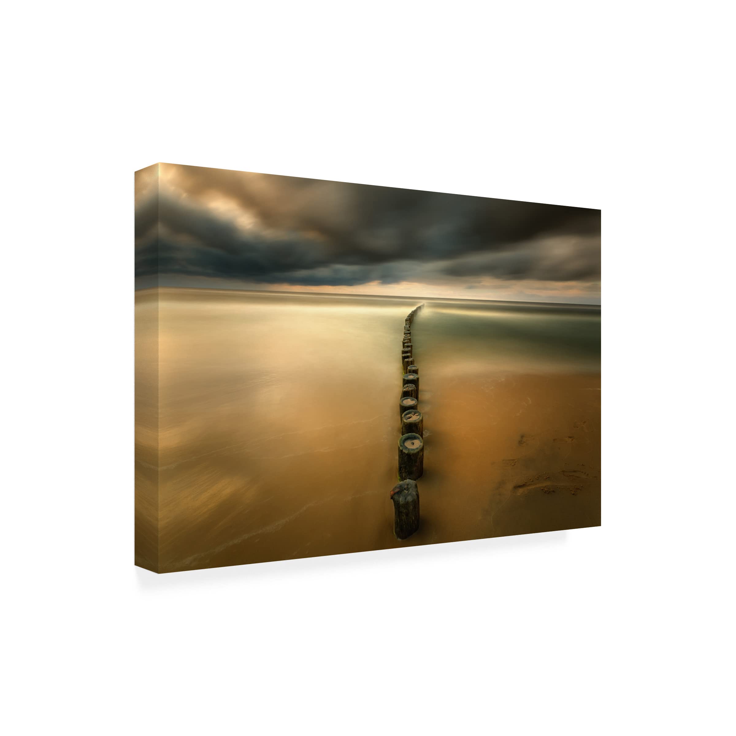 Trademark Fine Art 'Line' Canvas Art by Krzysztof Browko - Modern Abstract Wall Decor for Living Room, Bedroom & Office - Perfect for Home & Office Decor