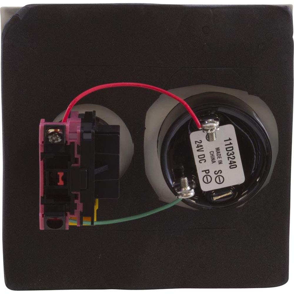 Pentair ESO2 Double Plate Shut Off Switch with Alarm - Pool & Spa Safety Device for Water Leak Detection